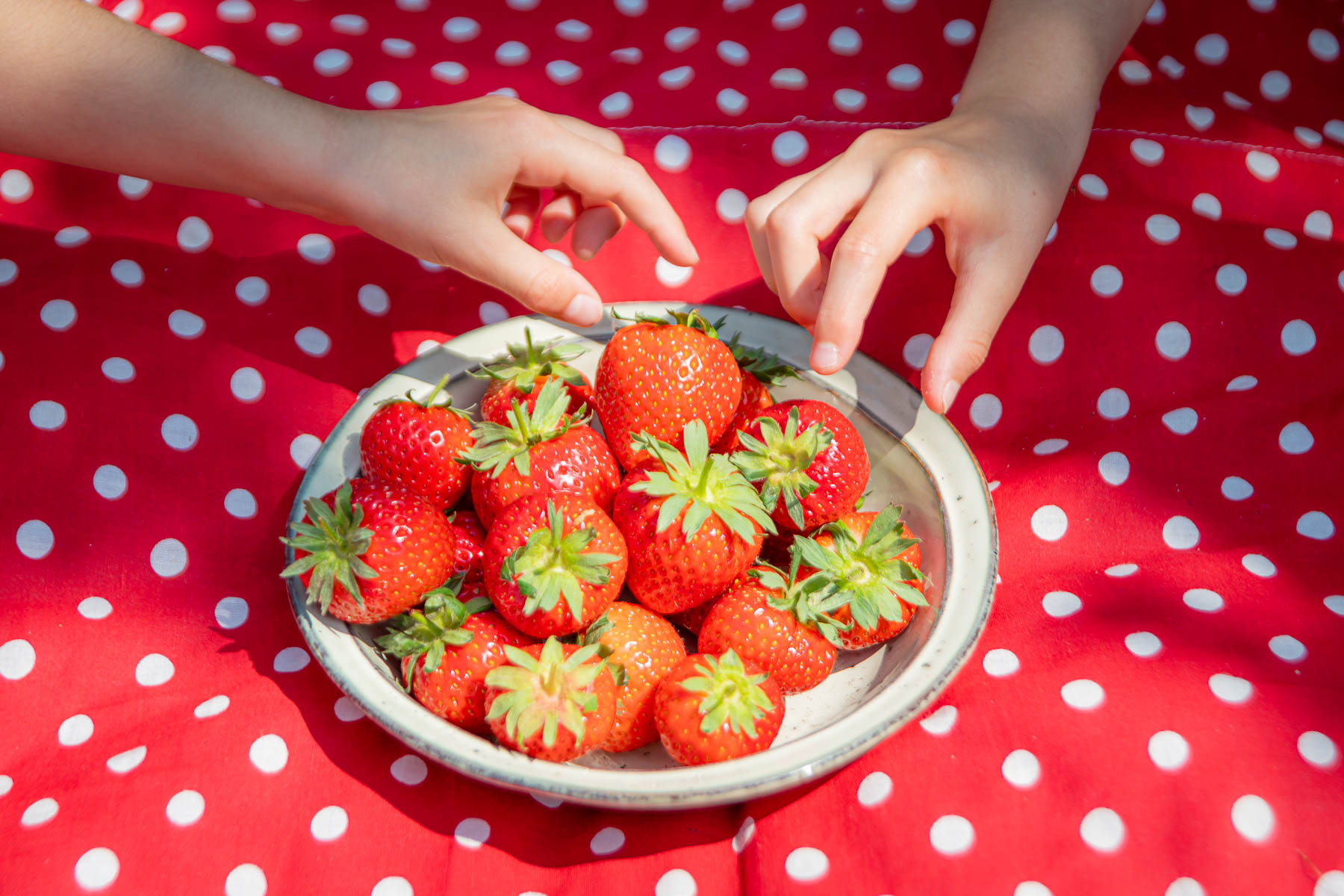 Erdbeeren naschen 5718