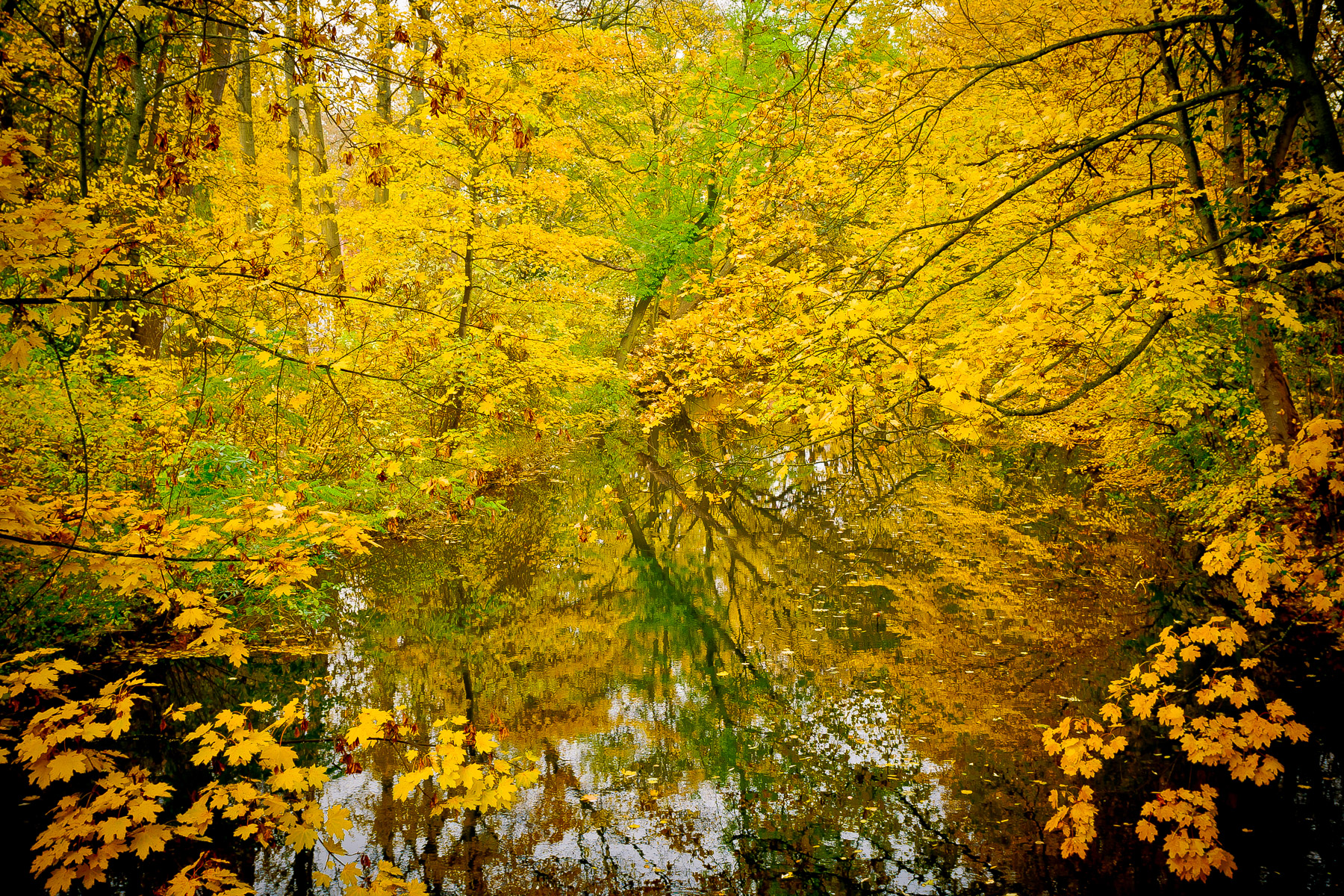 200923 Herbst 6481